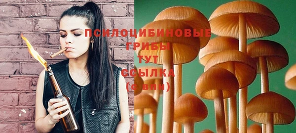 прущие крисы Белоозёрский