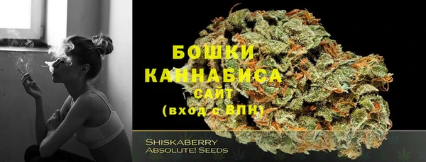 гидра Беломорск