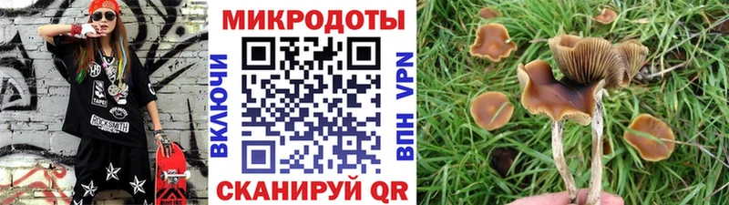 наркота  Ногинск  Псилоцибиновые грибы мухоморы 