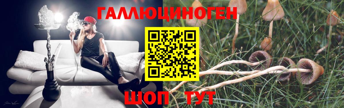 Галлюциногенные грибы ЛСД  Псилоцибиновые грибы мухоморы  Ногинск  Вход с VPN 